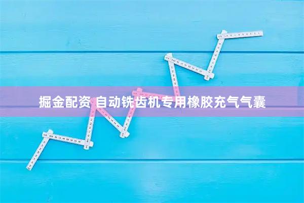 掘金配资 自动铣齿机专用橡胶充气气囊
