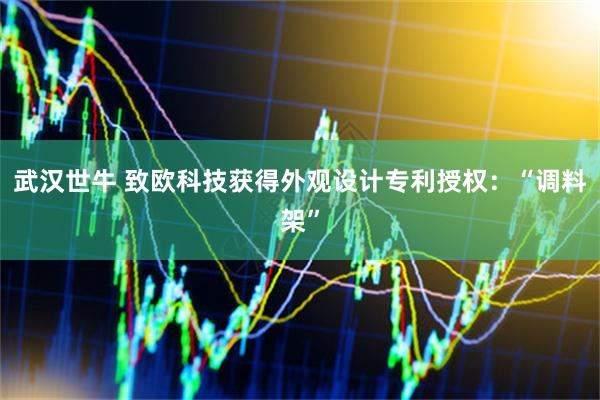 武汉世牛 致欧科技获得外观设计专利授权：“调料架”