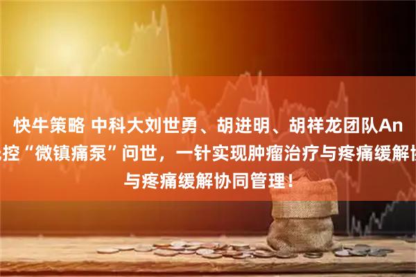 快牛策略 中科大刘世勇、胡进明、胡祥龙团队Angew：光控“微镇痛泵”问世，一针实现肿瘤治疗与疼痛缓解协同管理！