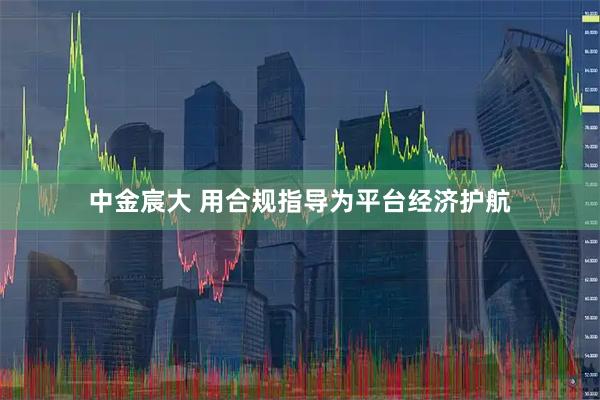 中金宸大 用合规指导为平台经济护航